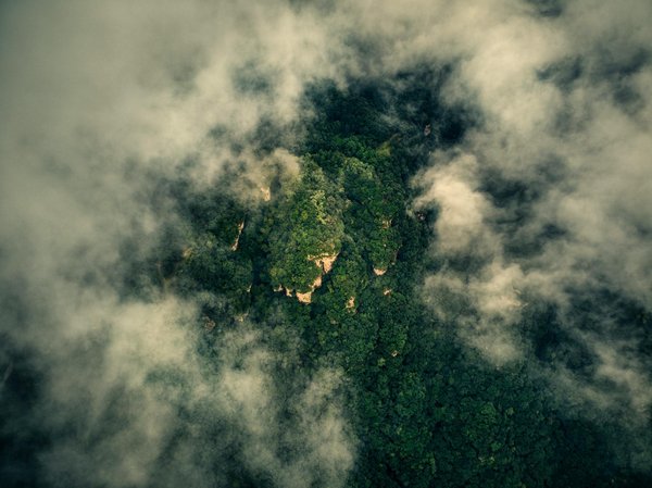 Manuel Complet : Comment Établir un Système de Dépistage Efficace en Milieu Professionnel