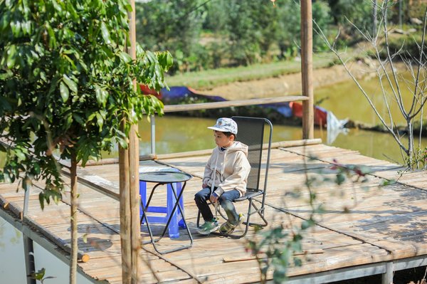 Comparateur eSIM : trouvez l'offre idéale pour la Nouvelle-Zélande !