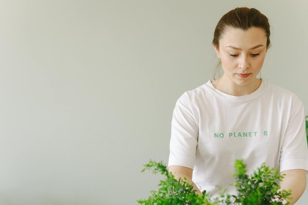 Hébergement vacances à perpignan : cottages 4 étoiles à découvrir